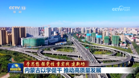 ��(n��i)�ɹ��ԌW(xu��)�ٸ� �Ƅ�(d��ng)���|(zh��)���l(f��)չ