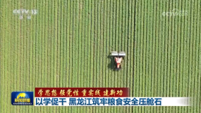 �ԌW(xu��)�ٸ� ���������μZʳ��ȫ��œʯ