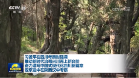 ��(x��)��ƽ���Ĵ����� ����;��������h�п���