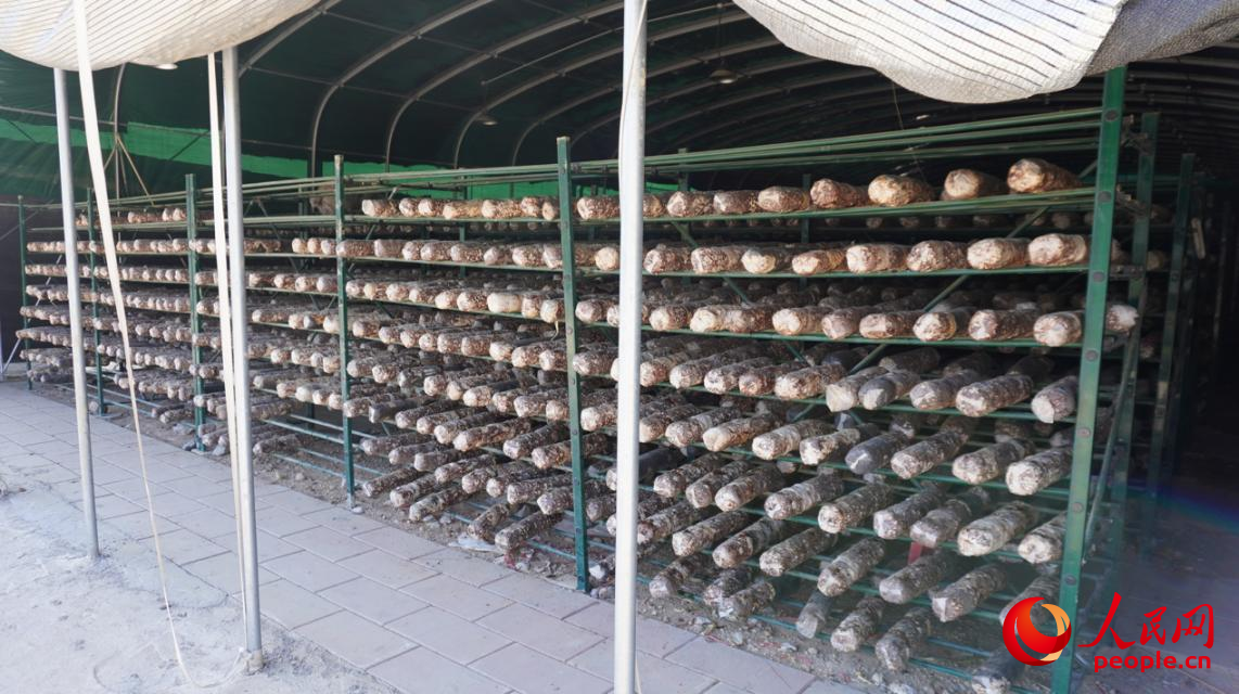 ɼ������������W(w��ng) Ф �z