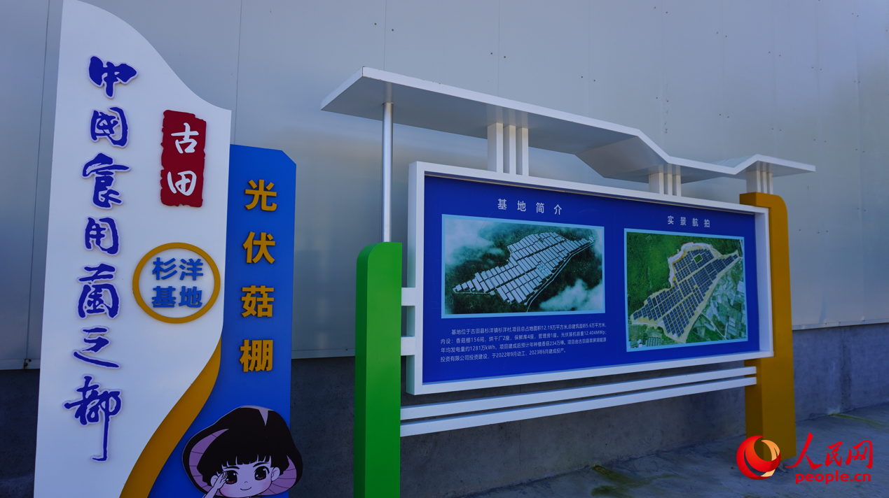 ����hɼ��������ʾ�����ء�����W(w��ng) Ф �z